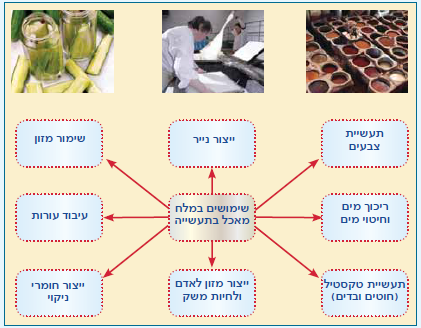 (בספר תמונה)